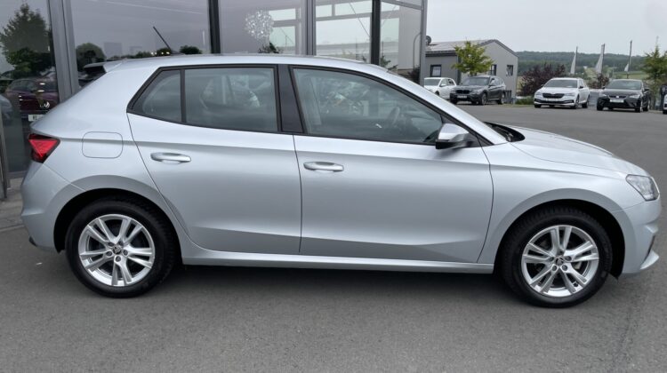 Fabia Selection Schalter Navi Key Lenkradhz Kamera