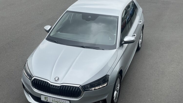 Fabia Selection Schalter Navi Key Lenkradhz Kamera