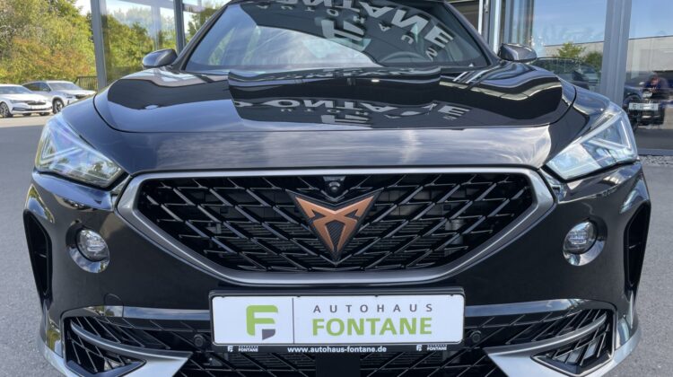 Formentor 2,0TSi VZ 4×4 360° Leder Beats Pano 19″ Alu