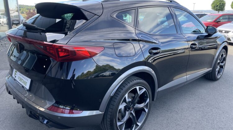Formentor 2,0TSi VZ 4×4 360° Leder Beats Pano 19″ Alu