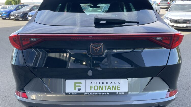 Formentor 2,0TSi VZ 4×4 360° Leder Beats Pano 19″ Alu