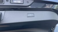Formentor 2,0TSi VZ 4×4 360° Leder Beats Pano 19″ Alu