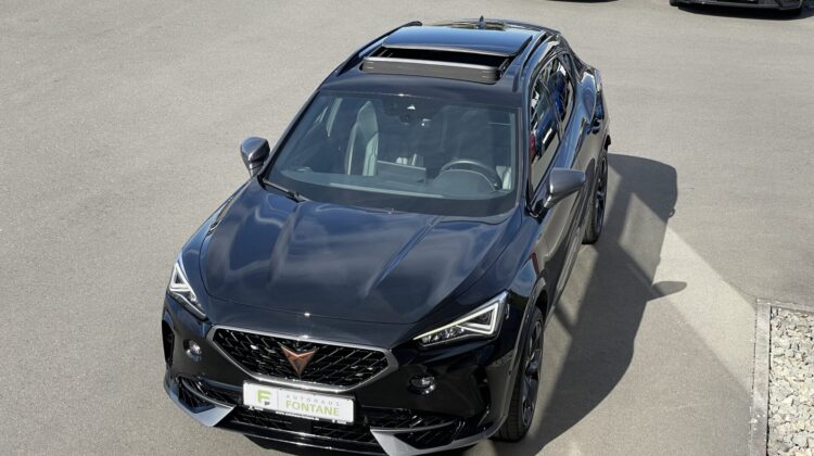 Formentor 2,0TSi VZ 4×4 360° Leder Beats Pano 19″ Alu