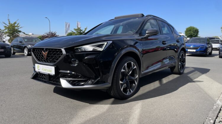 Formentor 2,0TSi VZ 4×4 360° Leder Beats Pano 19″ Alu
