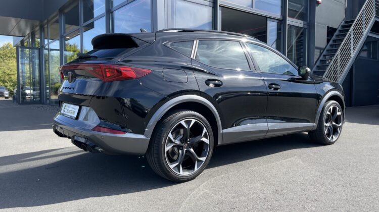 Formentor 2,0TSi VZ 4×4 360° Leder Beats Pano 19″ Alu