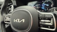 Sorento Vision Pano 7Sitzer Bose HUD E-Sitze LED