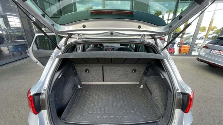 Arona FR DSG Sitzhz Teilleder Kamera Carplay