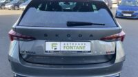 Octavia Combi 2,0 TDi RS Leder Massage Navi
