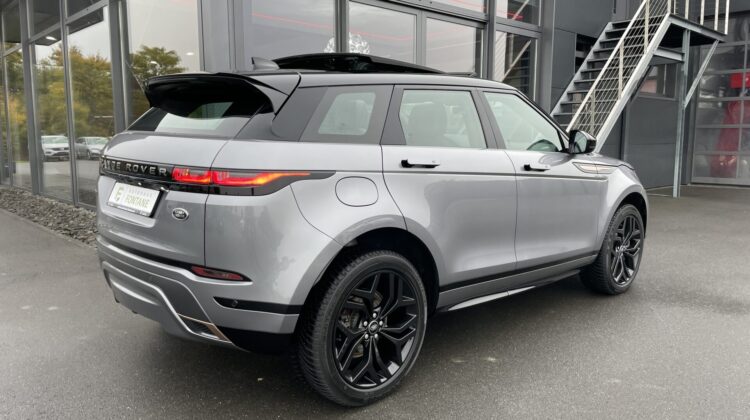 Range Rover Evoque R-Dynamic Leder AHK Apple