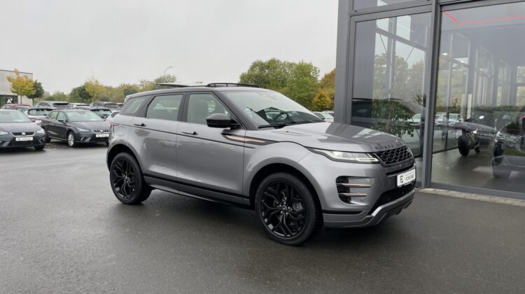 Range Rover Evoque R-Dynamic Leder AHK Apple