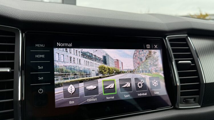 Kodiaq 2.0 TDI Sportline 4×4 Pano AHK 360° LED