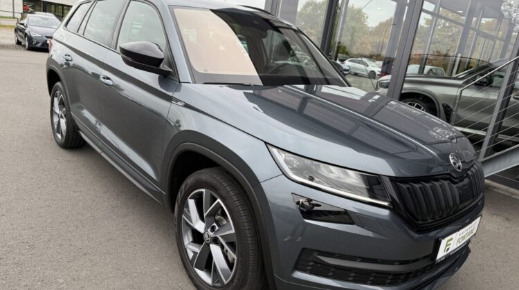 Kodiaq 2.0 TDI Sportline 4×4 Pano AHK 360° LED