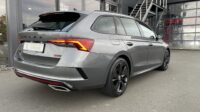 Octavia Kombi 2.0TDI RS AHK Matrix Pano ACC