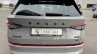 Kodiaq 2,0TSi RS 4×4 Pano Columbus 360°Travel