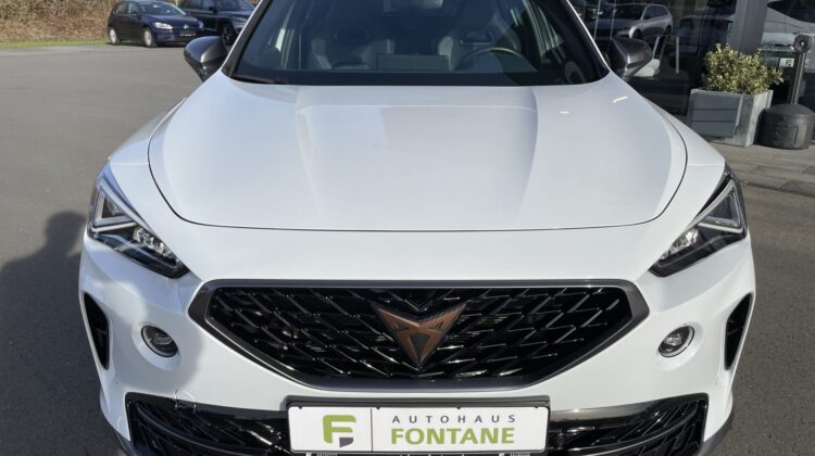 Formentor 1,5TSi Leder DCC Key 19″Virtual