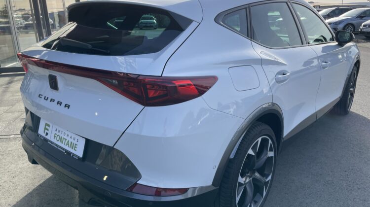 Formentor 1,5TSi Leder DCC Key 19″Virtual