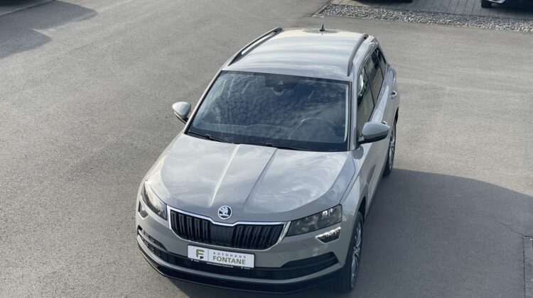 Karoq 2,0TDi Ambition 4×4 DSG Navi AHK Sitzhz