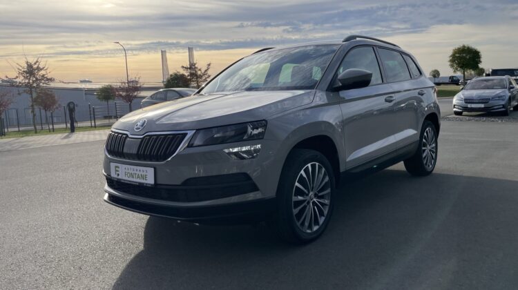 Karoq 2,0TDi Ambition 4×4 DSG Navi AHK Sitzhz