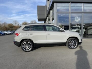 Karoq 2,0TDi Ambition 4×4 DSG Navi AHK Sitzhz
