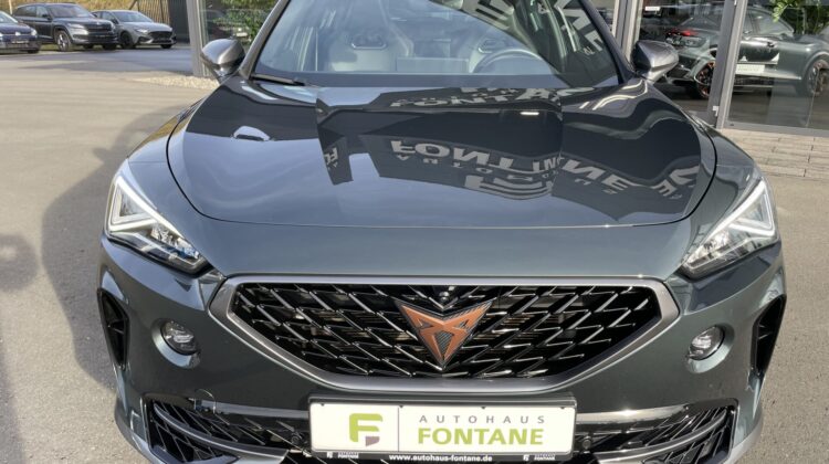 Formentor VZ 4Drive Pano Brembo Beats 360°