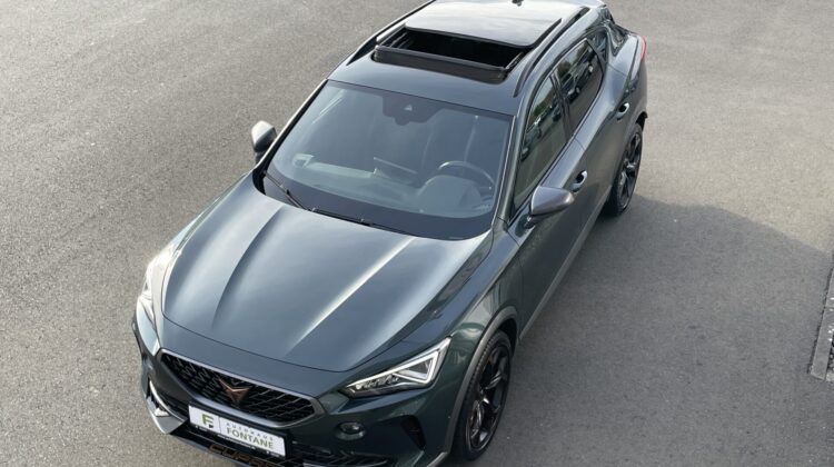 Formentor VZ 4Drive Pano Brembo Beats 360°