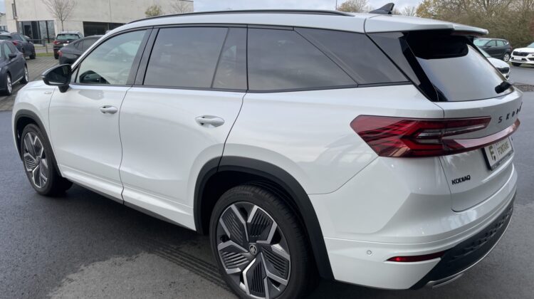 Kodiaq 2.0 TDI 142 kW 4×4 Sportline Pano 20