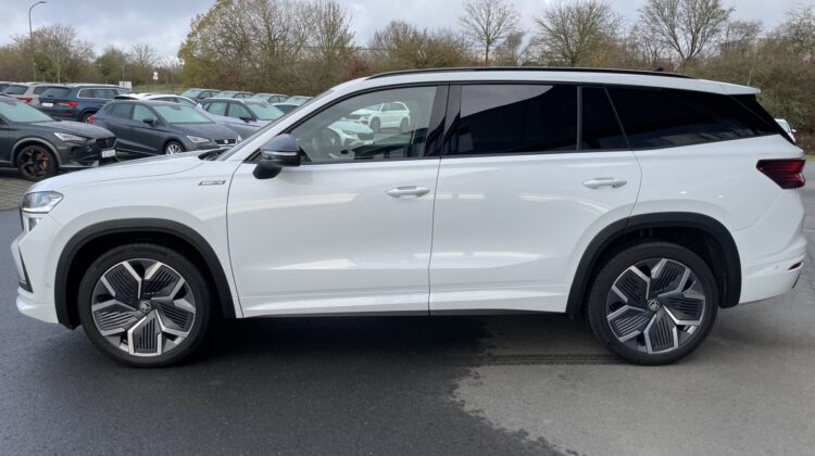 Kodiaq 2.0 TDI 142 kW 4×4 Sportline Pano 20