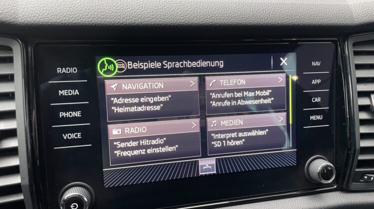 Kodiaq 2,0TSi Sportline 4×4 Canton 19″Key ACC