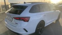 Octavia 2,0TSi Combi RS Pano Matrix AHK Columbus