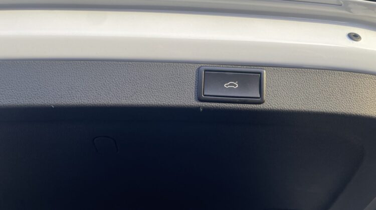 Octavia 2,0TSi Combi RS Pano Matrix AHK Columbus