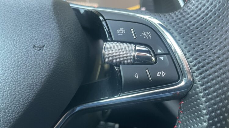 Octavia 2,0TSi Combi RS Pano Matrix AHK Columbus