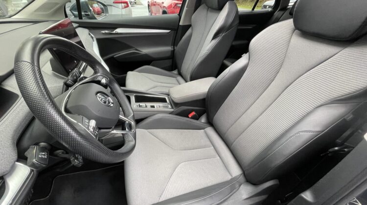 Enyaq iV80 Wärmep.AHK Pano Matrix HUD