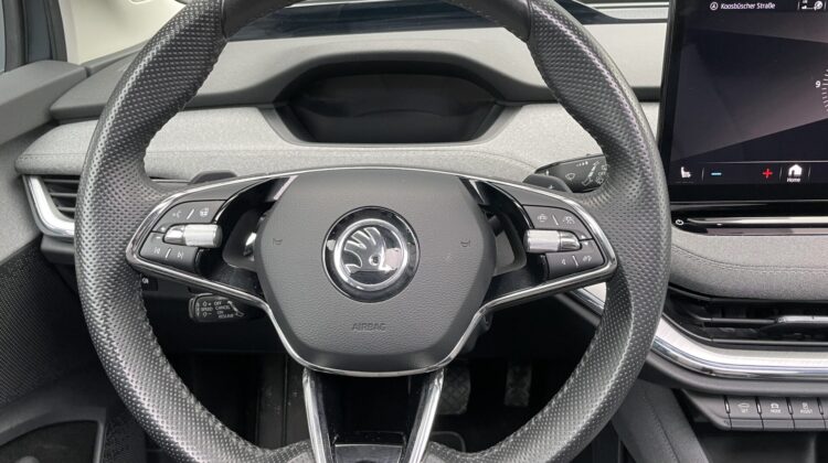 Enyaq iV80 Wärmep.AHK Pano Matrix HUD