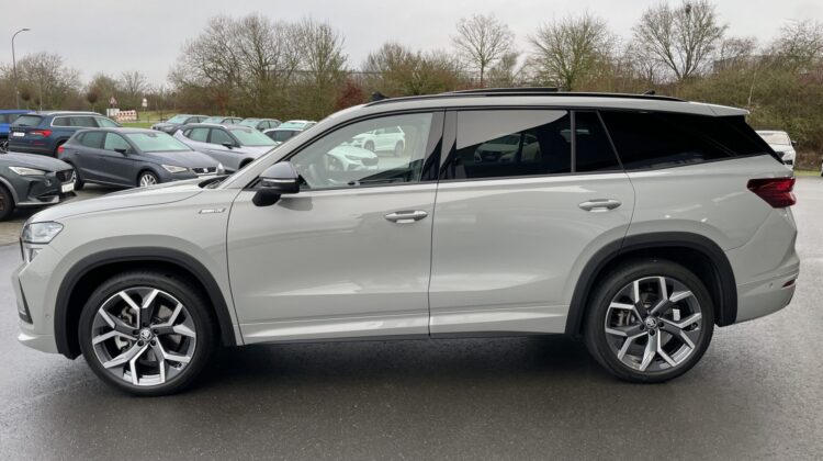 Kodiaq 2.0TDI 142kW 4×4 Sportline Pano 7-Sitze