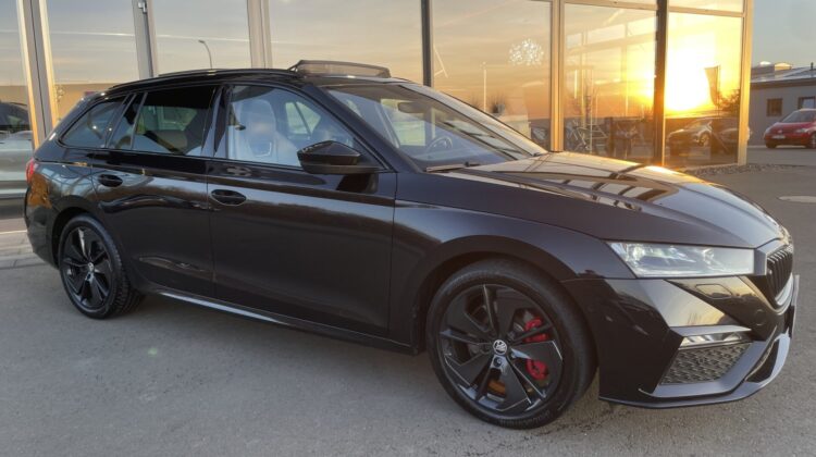 Octavia Combi 2,0TSi RS Pano 360°DCC AHK Massage