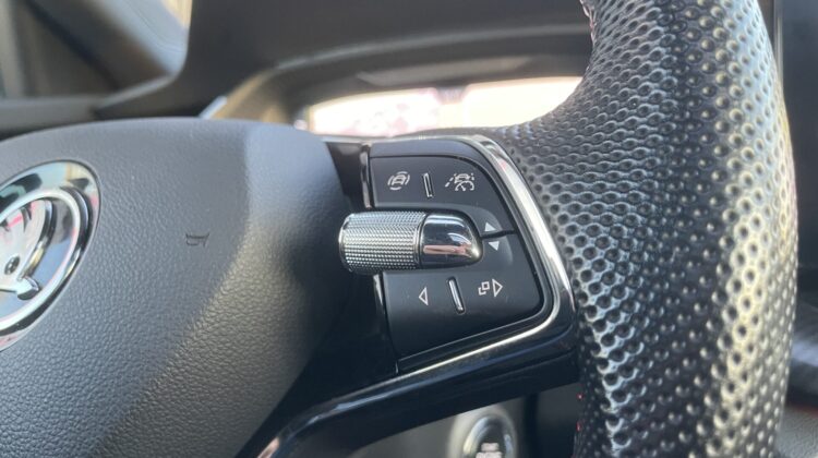 Octavia Combi 2,0TSi RS Pano 360°DCC AHK Massage