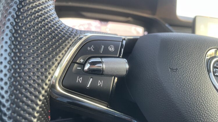 Octavia Combi 2,0TSi RS Pano 360°DCC AHK Massage