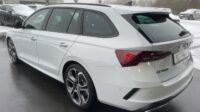 Octavia 2,0TSi Combi RS 19″AHK Columbus Matrix