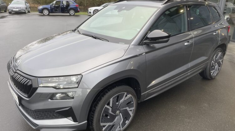 Karoq 2,0TSi DSG Sportline 4×4 Pano 19″ACC Navi