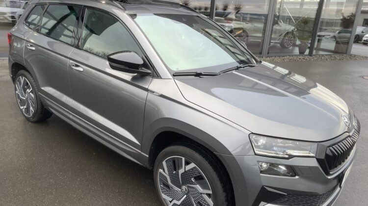 Karoq 2,0TSi DSG Sportline 4×4 Pano 19″ACC Navi