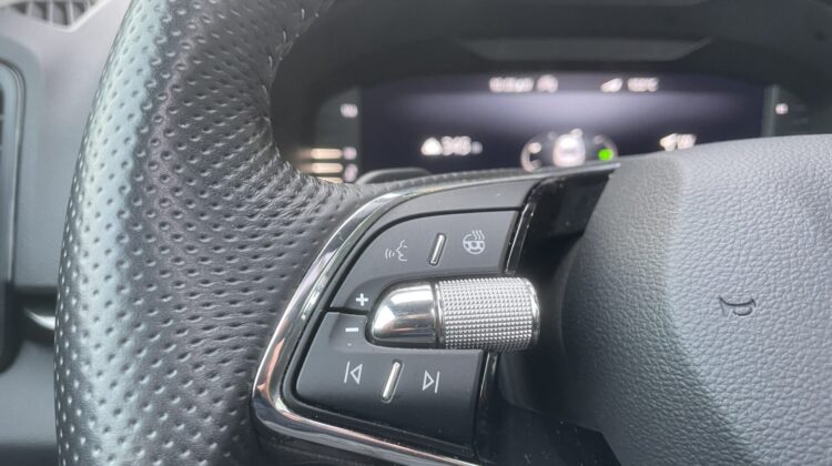 Karoq 2,0TSi DSG Sportline 4×4 Pano 19″ACC Navi