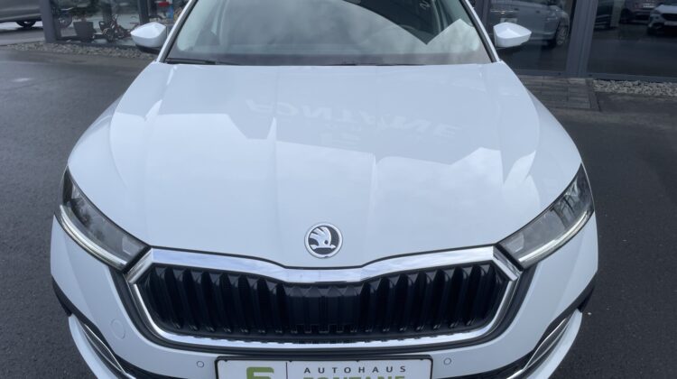 Octavia Combi 2,0TDi Style 4×4 Leder Matrix Key