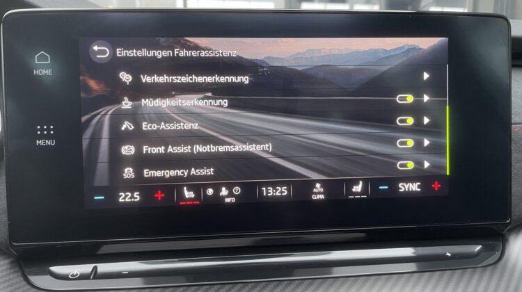 Octavia Combi 2,0TSi RS Pano AHK ACC Kam Matrix