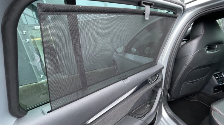 Octavia Combi 2,0TSi RS 19″Leder AHK Canton HUD