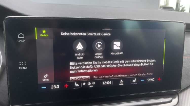 Octavia Combi 2,0TSi RS 19″Leder AHK Canton HUD