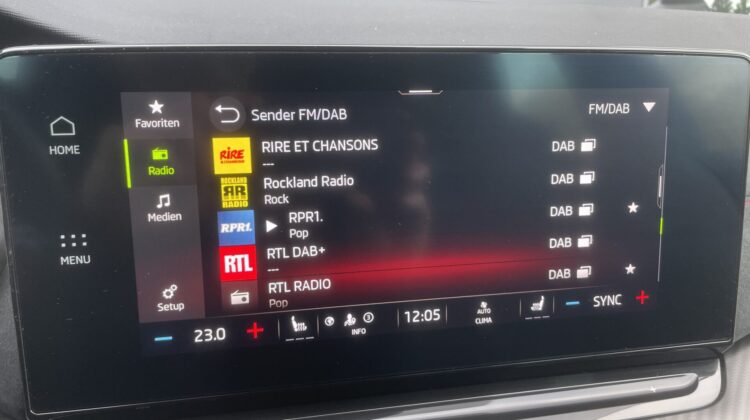 Octavia Combi 2,0TSi RS 19″Leder AHK Canton HUD