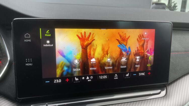 Octavia Combi 2,0TSi RS 19″Leder AHK Canton HUD