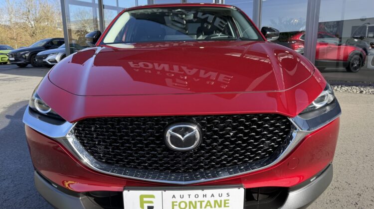 CX-30 Skyactive Homura 18″ Navi SHZ Kamera LED