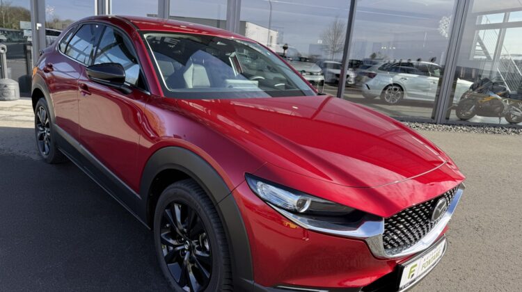 CX-30 Skyactive Homura 18″ Navi SHZ Kamera LED