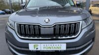 Kodiaq Soleil 4×4 Leder Standheizung LED AHK Kamera